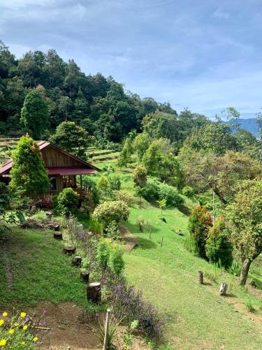 Afficher, Bagoes View Cottages in Maninjau Afficher, Bagoes View Cottages in Maninjau