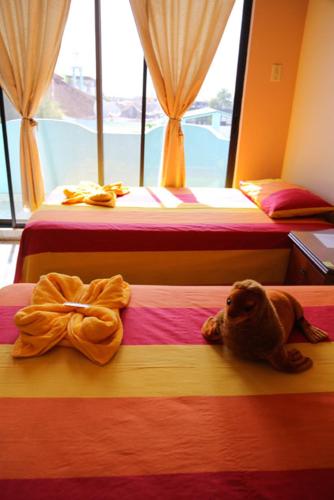 This photo about Casa de Jeimy shared on HyHotel.com