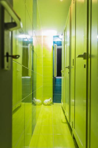 spa, White Rabbit Hostel in Hvar spa, White Rabbit Hostel in Hvar
