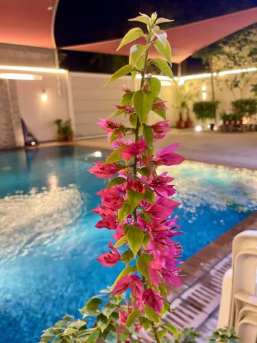 Amazing 2BR Private Villa in Saar in Ar Ruq`ah Amazing 2BR Private Villa in Saar in Ar Ruq`ah