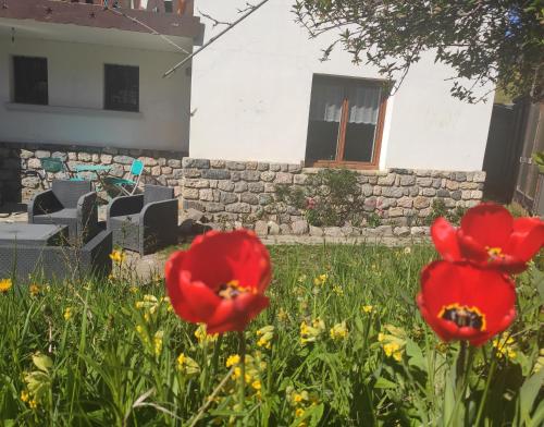 Kert, T2 cosy - Proche Briançon Serre Chevalier - Jardin - Vue montagne - Ski (T2 cosy - Proche Briancon Serre Chevalier - Jardin - Vue montagne - Ski) in Villar-Saint-Pancrace Kert, T2 cosy - Proche Briançon Serre Chevalier - Jardin - Vue montagne - Ski (T2 cosy - Proche Briancon Serre Chevalier - Jardin - Vue montagne - Ski) in Villar-Saint-Pancrace