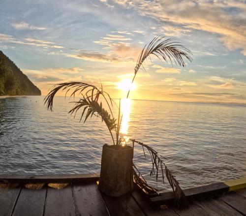 Amoryg Resort and Dive Raja Ampat in Raja Ampat Amoryg Resort and Dive Raja Ampat in Raja Ampat