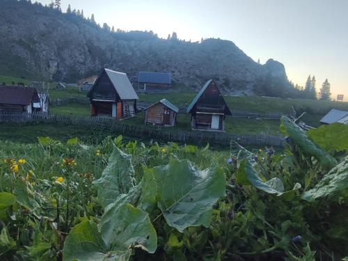 Etno katun Mokra 1 in Murino Etno katun Mokra 1 in Murino
