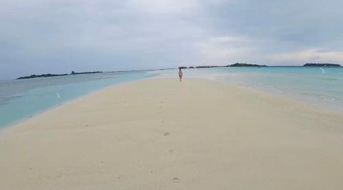 Beach, Ocean Pearl in South Male Atoll Beach, Ocean Pearl in South Male Atoll