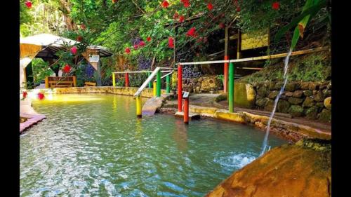 Tia's Bamboo Cottages Restaurant, Bar & Sulphur Spa in Saint George Tia's Bamboo Cottages Restaurant, Bar & Sulphur Spa in Saint George