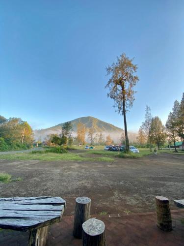Vue, Avrilla Ijen Homestay & Cafe in Licin Vue, Avrilla Ijen Homestay & Cafe in Licin