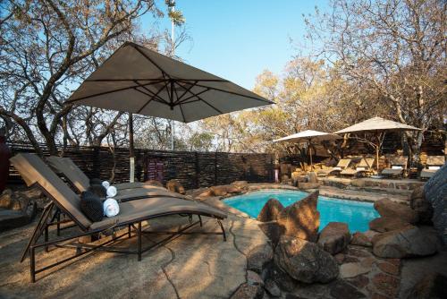 مسبح, تشوكودو بوش لودج (Tshukudu Bush Lodge) in بيلانسبرغ ناشونال بارك مسبح, تشوكودو بوش لودج (Tshukudu Bush Lodge) in بيلانسبرغ ناشونال بارك