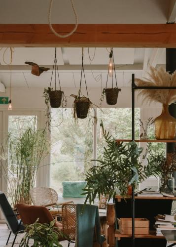 Létesítmények, Zwier, de Vrijhaven in Groenlandsekade en Vinkenkade Létesítmények, Zwier, de Vrijhaven in Groenlandsekade en Vinkenkade