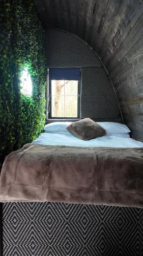 Rabbit hole in Hartlebury Rabbit hole in Hartlebury