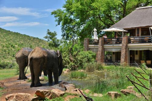 شرفة/ تراس, نزل كوا ماريتان (Kwa Maritane Lodge) in بيلانسبرغ ناشونال بارك شرفة/ تراس, نزل كوا ماريتان (Kwa Maritane Lodge) in بيلانسبرغ ناشونال بارك