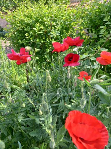 Kilátás, Gîte de la Queune 4 pers (Gite de la Queune 4 pers) in Souvigny Kilátás, Gîte de la Queune 4 pers (Gite de la Queune 4 pers) in Souvigny