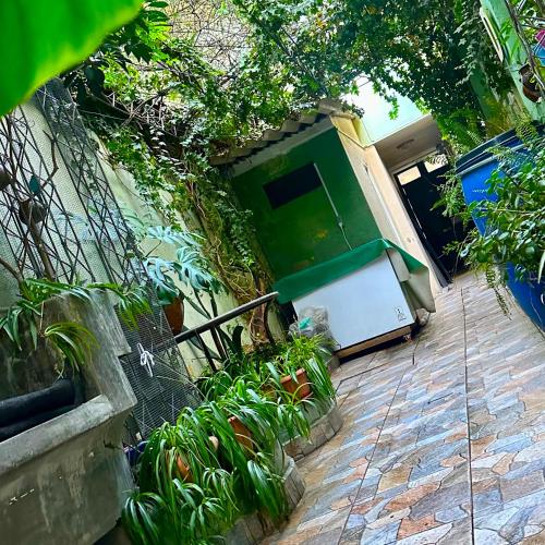 Jardín, Habitación céntrica con acceso a lindo jardín (Habitacion centrica con acceso a lindo jardin) in Cochabamba Jardín, Habitación céntrica con acceso a lindo jardín (Habitacion centrica con acceso a lindo jardin) in Cochabamba