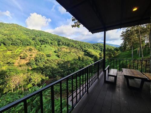 NantraKiri in Pua NantraKiri in Pua