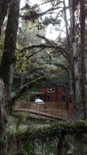 Wonderforest 2 Bedroom Tiny house Ruapehu Unique Stays in Taumarunui Wonderforest 2 Bedroom Tiny house Ruapehu Unique Stays in Taumarunui