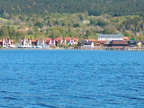 пляж, Apartmán ÁJA - Lipno nad Vltavou (Apartman AJA - Lipno nad Vltavou) in Ліпно-над-Влтавою пляж, Apartmán ÁJA - Lipno nad Vltavou (Apartman AJA - Lipno nad Vltavou) in Ліпно-над-Влтавою