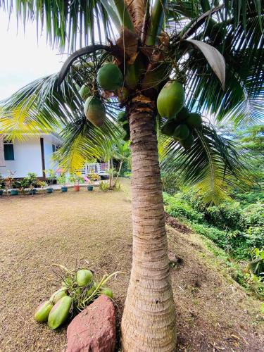 Herehiti Sweet House in Hiva Oa Herehiti Sweet House in Hiva Oa