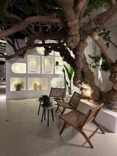 Exterior view, Apollon Boutique Hotel in Paros Island Exterior view, Apollon Boutique Hotel in Paros Island