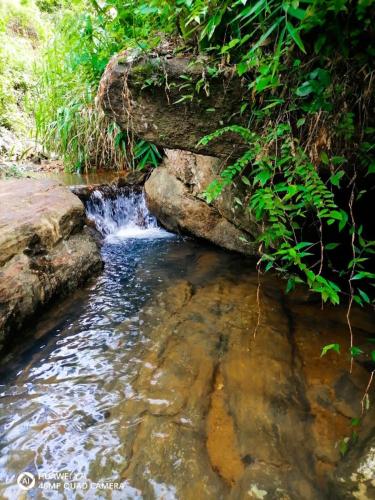 Elpitihena nature cottage Awissawella in 데히오비타 Elpitihena nature cottage Awissawella in 데히오비타