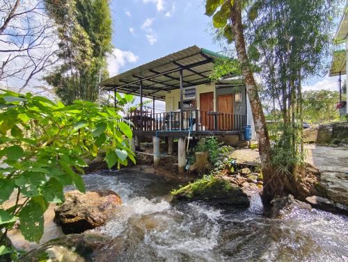 อินทนนท์ บ้านพักเล่าจู Inthanon Laoju House near Doi Inthanon National Park อินทนนท์ บ้านพักเล่าจู Inthanon Laoju House near Doi Inthanon National Park