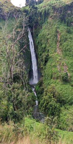 Village homestay&tours in Tukuyu Village homestay&tours in Tukuyu