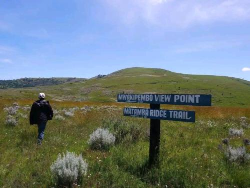 Village homestay&tours in Tukuyu Village homestay&tours in Tukuyu