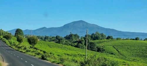 Village homestay&tours in Tukuyu Village homestay&tours in Tukuyu