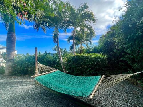 All About the View - Perfect Pool Villa close to Maho Bay & VI NAT PARK in Central All About the View - Perfect Pool Villa close to Maho Bay & VI NAT PARK in Central