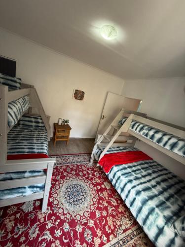 Hartees tropical Island experience