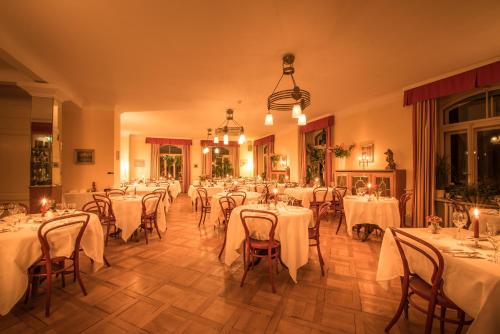 Restaurant, Historic Hotel Falken in Wengen Restaurant, Historic Hotel Falken in Wengen