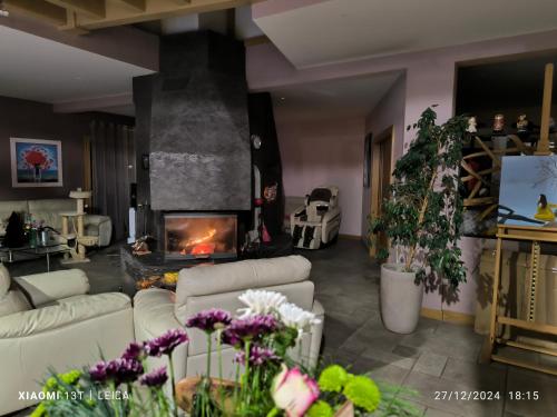 Domaine Les Trois Biches in Thorens-Glieres Domaine Les Trois Biches in Thorens-Glieres