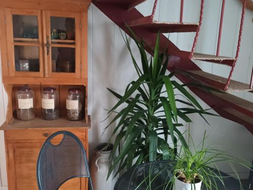 Gîte indépendant avec étang - 3 chambres, animaux admis - FR-1-583-382 (Gite independant avec etang - 3 chambres, animaux admis - FR-1-583-382) in Gy Gîte indépendant avec étang - 3 chambres, animaux admis - FR-1-583-382 (Gite independant avec etang - 3 chambres, animaux admis - FR-1-583-382) in Gy