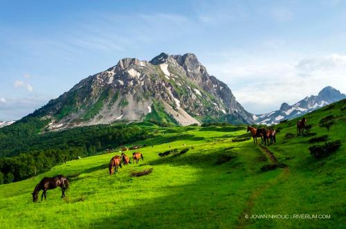 Sweet home in Andrijevica Sweet home in Andrijevica