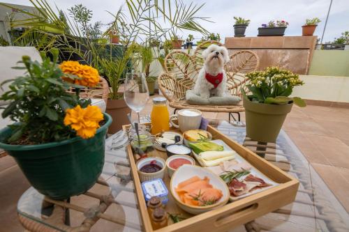 Comida y bebida, GrowersGo Boutique Huelva in Huelva Comida y bebida, GrowersGo Boutique Huelva in Huelva