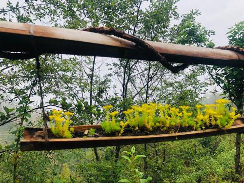 정원, Hotel Mountain Nest in 발루와파티 데우푸르 정원, Hotel Mountain Nest in 발루와파티 데우푸르