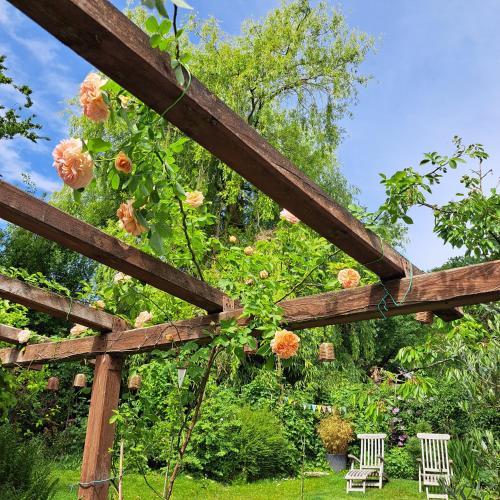 حديقة, La Quitapenas in Kluisbergen حديقة, La Quitapenas in Kluisbergen