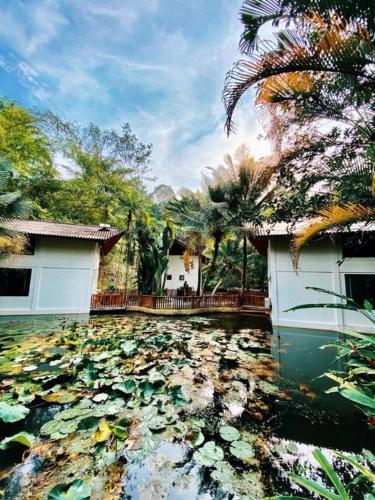 Bidaisari Resort in Janda Baik Bidaisari Resort in Janda Baik