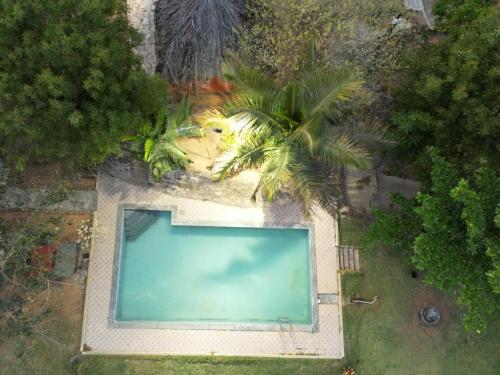 Swimming pool, Jungle night in Kumbalgodu Swimming pool, Jungle night in Kumbalgodu