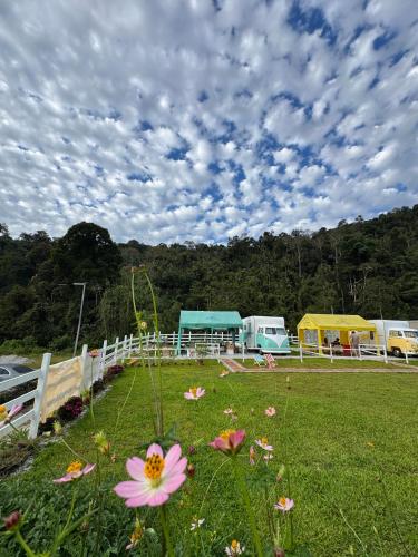The Starry Campervans Cameron Highlands in Habu The Starry Campervans Cameron Highlands in Habu