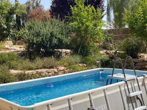 Úszómedence, Desert Rose in Sde Boker Úszómedence, Desert Rose in Sde Boker