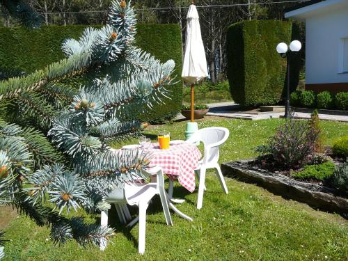 This photo about Hotel el Pinar shared on HyHotel.com