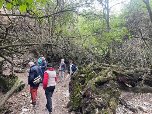 Yaxshigulhomestay in Forish Yaxshigulhomestay in Forish