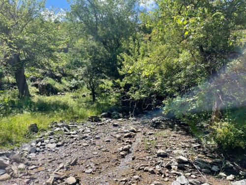 Yaxshigulhomestay in Forish Yaxshigulhomestay in Forish