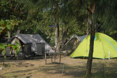 Garden, Ut Ngoc Camping in Can Gio Garden, Ut Ngoc Camping in Can Gio