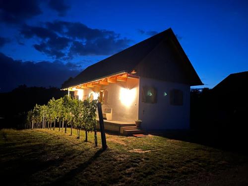 A szálláshely kívülről, Modernes Kellerstöckl im Südburgenland (Modernes Kellerstockl im Sudburgenland) in Németújvár A szálláshely kívülről, Modernes Kellerstöckl im Südburgenland (Modernes Kellerstockl im Sudburgenland) in Németújvár