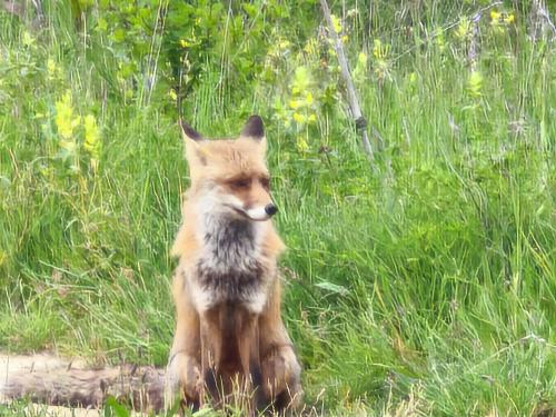 El Pecu Casa Rural Starfamiliar in Montorio El Pecu Casa Rural Starfamiliar in Montorio