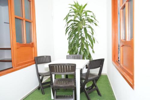 Facilities, Hotel Royal Park San Martin in San Martín Facilities, Hotel Royal Park San Martin in San Martín