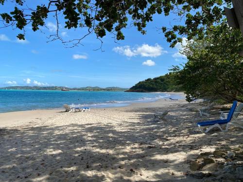 Breezes & Views in Five Islands Breezes & Views in Five Islands