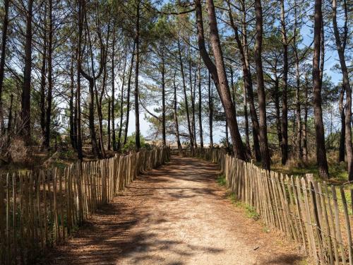 Charmante Maison Climatisee Biscarrosse 4 voyageurs Parking Inclus - FR-1-319-614 in Pierricq Charmante Maison Climatisee Biscarrosse 4 voyageurs Parking Inclus - FR-1-319-614 in Pierricq