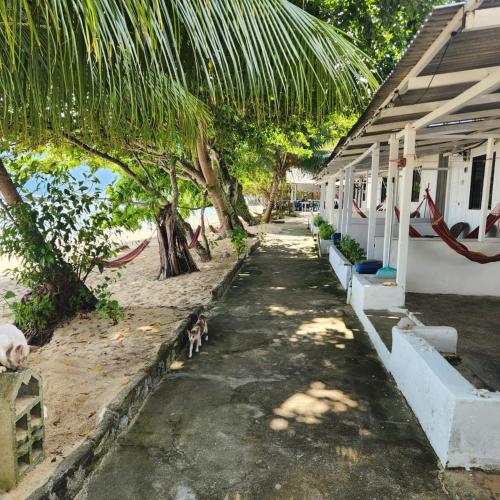 Coral Reef Holidays in Tioman Island Coral Reef Holidays in Tioman Island