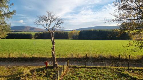 حديقة, Struan Cottage in تومينتول حديقة, Struan Cottage in تومينتول